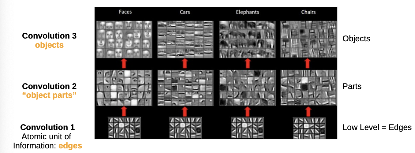 Natural image statistics